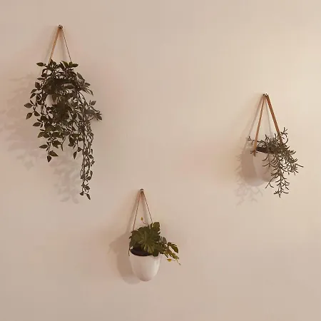 L'esquisse Cambrésien Au Cœur De Cambrai