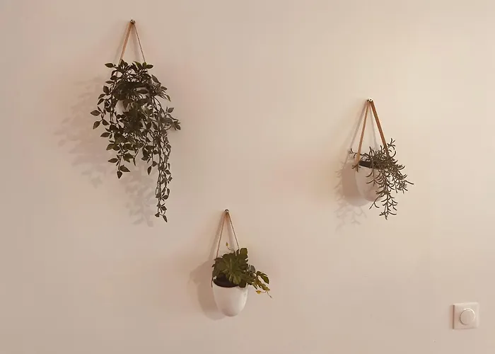 Le Ch'ti Cambrai,élégant, Centre Cambrai